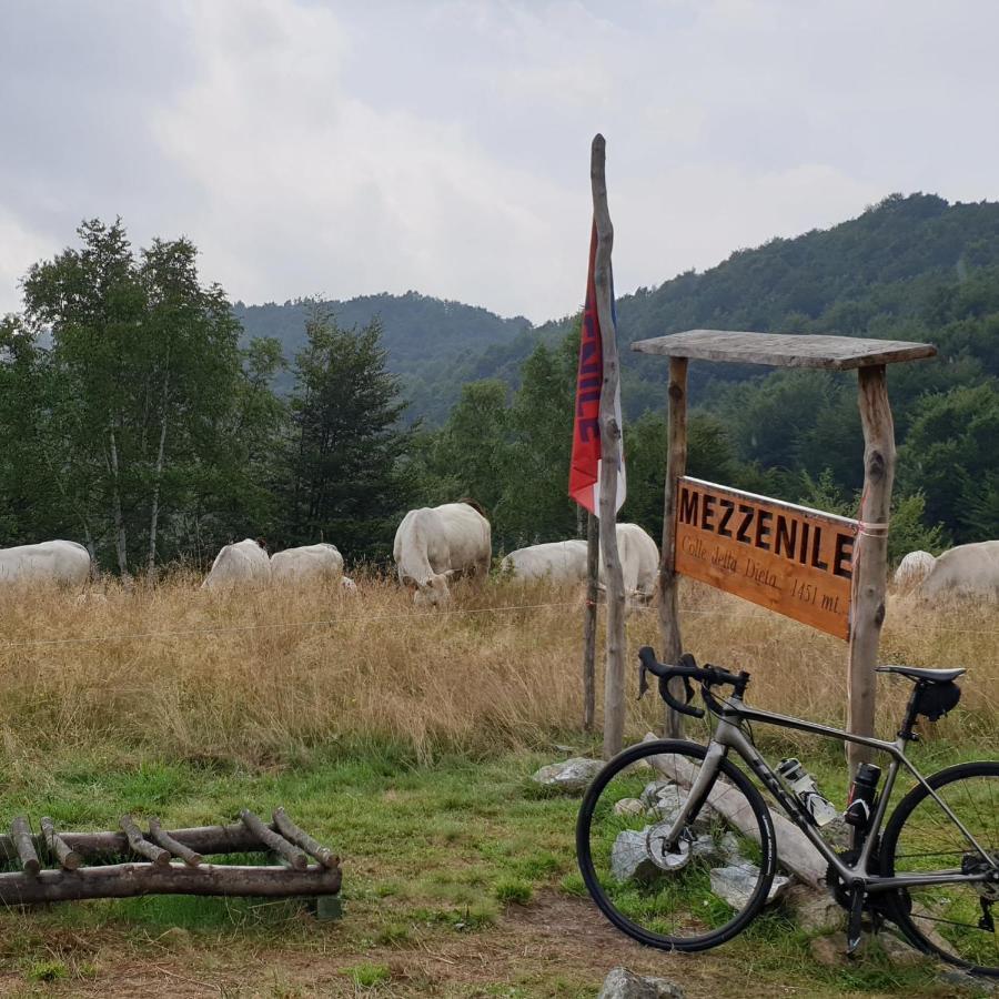 Casa Le Rondini Lägenhet Mezzenile Exteriör bild